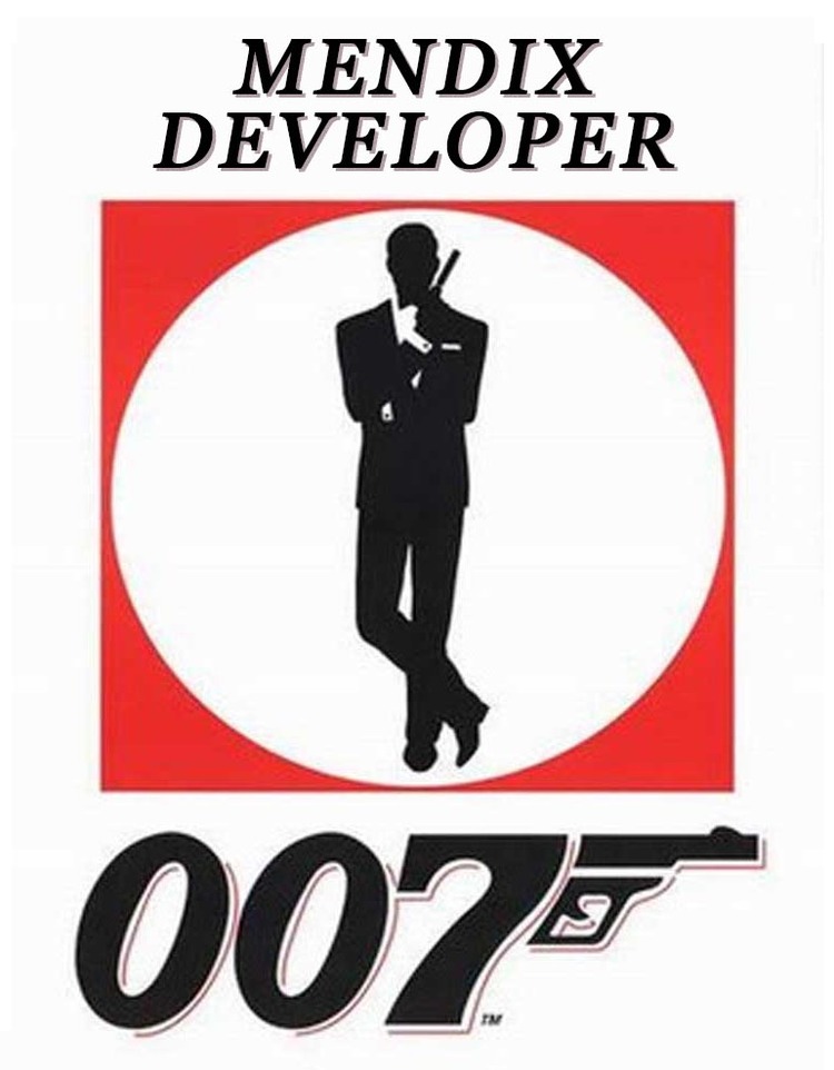 mendix developer.jpg